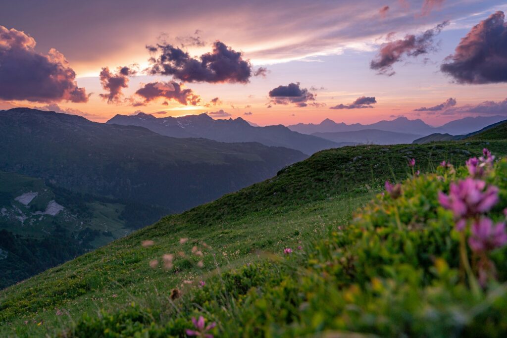 landscape photo